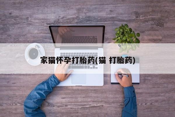 打胎药/流产药专卖微信家猫怀孕打胎药(猫 打胎药)